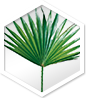 Apolloss – Prirodni proizvod | Shop Pure Apolloss – Shop Pure