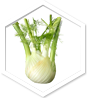 Mikoherb – Prirodni proizvod | Shop Pure Mikoherb – Shop Pure