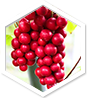 Apolloss – Prirodni proizvod | Shop Pure Apolloss – Shop Pure
